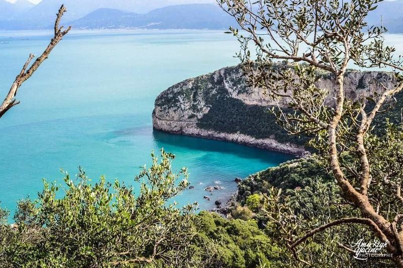 sit rencontre bejaia